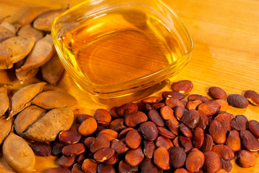 Unlock the Benefits of Karanja Oil for Skin and Hair Care