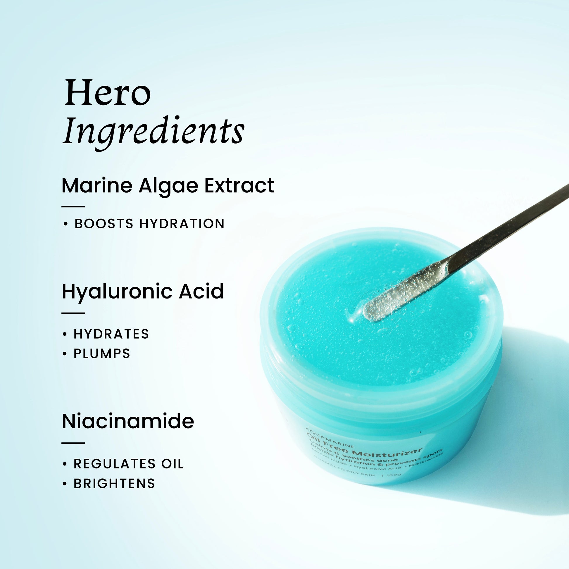 Ingredients in Oil Free Moisturizer